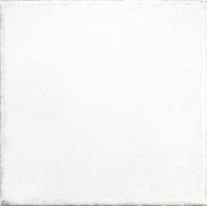 OLARIA WHITE 6x6